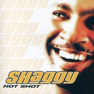 Ricardo 'Rikrok' Ducent & Shaggy - It Wasn't Me (CRASH & BURN REMIX)
