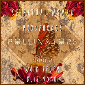 Pollinators (Amir Telem Remix)