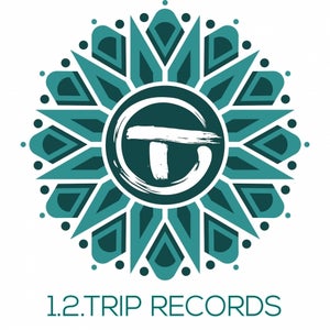 1.2.Trip Records