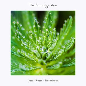 Lucas Rossi - Raindrops [Soundgarden]