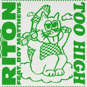 Download Song Fake Id Riton
