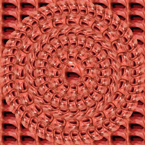 Chris Korda - A Thin Layer of Oily Rock