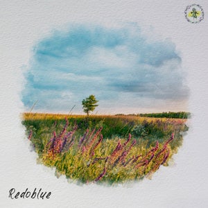 Redoblue - Ciel [Forestrip Music]