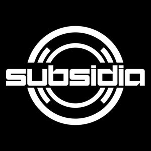 Subsidia