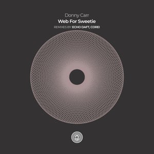 Donny Carr - Web For Sweetie (ECHO DAFT Remix)