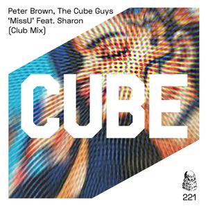 verklaren Stoutmoedig garen The Cube Guys Tracks / Remixes Overview