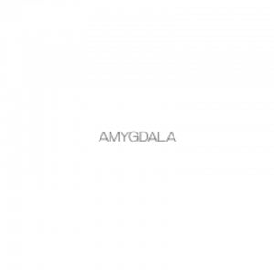 Amygdala Sound