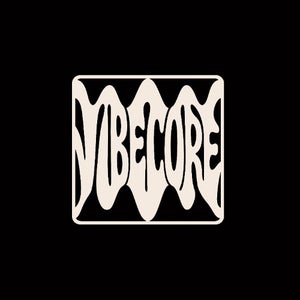 Vibecore Records