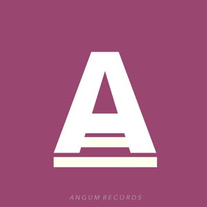 Angum records
