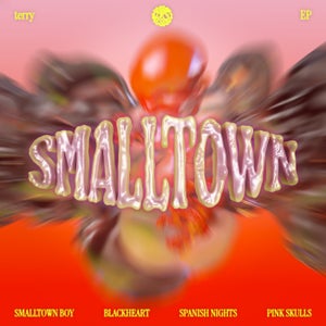 terry - Smalltown Boy