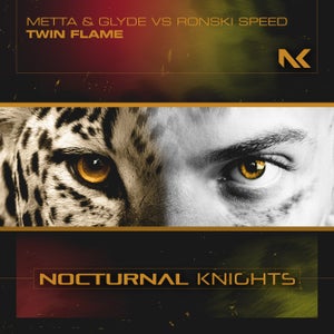Metta & Glyde & Ronski Speed - Twin Flame Artwork