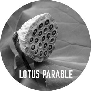 Lotus Parable