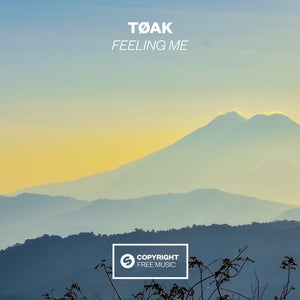 T&Oslash;AK Feeling Me Artwork