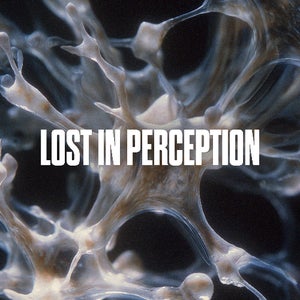Lost In Perception