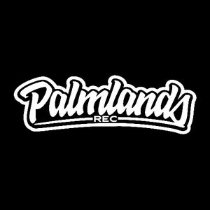 Palmlands Records