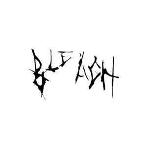 Bleach Records