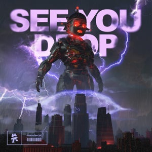 Ray Volpe See You Drop Artwork
