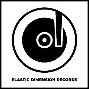 Elastic Dimension Records