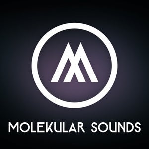 Molekular Sounds (RazNitzanMusic)