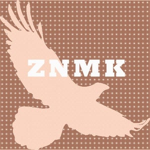 ZNMK Records