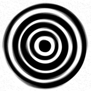 Spinny Nights