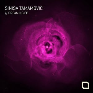 Sinisa Tamamovic Analog Saturday Artwork