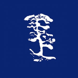 Blue Night Jungle
