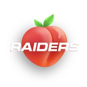 RAIDERS