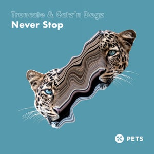 Catz 'N Dogz Tracks / Remixes Overview