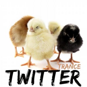 TWITTER BOY - Половина Любви