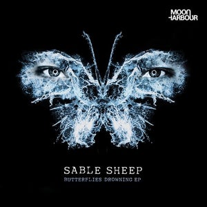 Sable Sheep - Kushhh