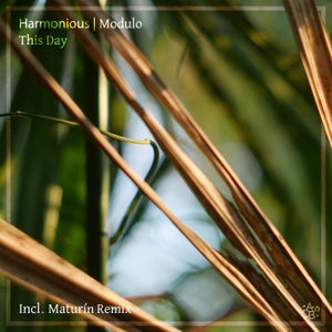 Harmonious & Modulo - This Day (Maturin Remix)/ South of the Jungle [A Soul On Board]