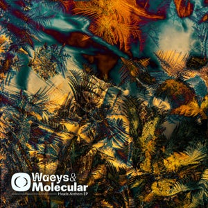 Waeys & Molecular - Arrows