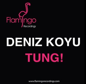 Deniz Koyu Tung! Artwork