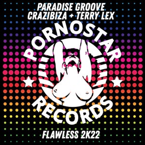 Crazibiza & Terry Lex & Paradise Groove - Flawless 2K22 Artwork