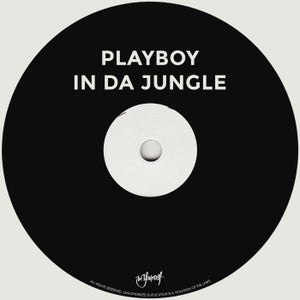 Playboy - In Da Jungle (Mod Wheel Remix)