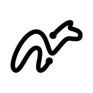 CamelMusic Records