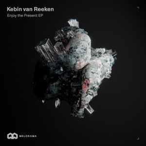 Kebin van Reeken - Enjoy the Present