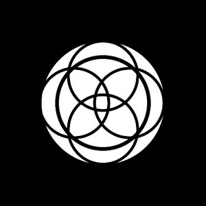 Echoshapes