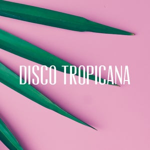 Disco Tropicana Records