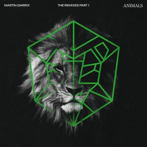 Martin Garrix Animals (Botnek Edit) Artwork