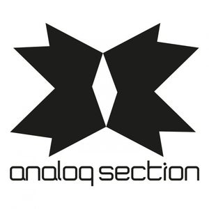 Analog Section Records