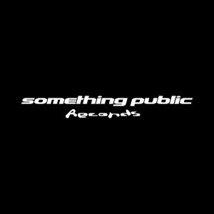 Something Public Records