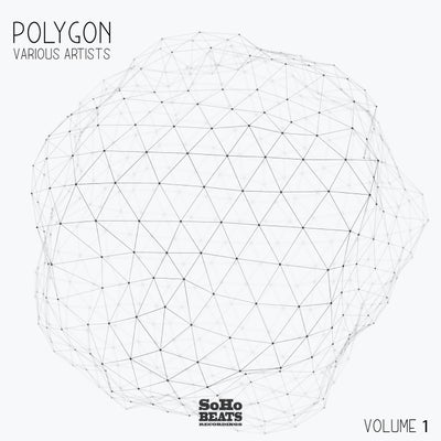 VA - Polygon, Vol. 1 SBRP1