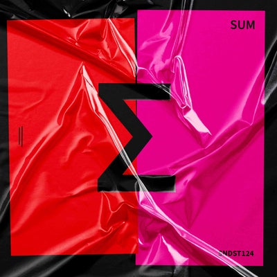 VA - SUM 13 SNDST124
