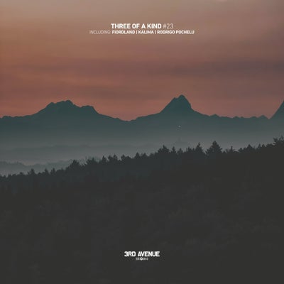 VA - Three of Kind #23 3AV411