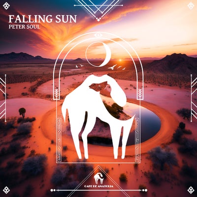 Peter Soul - Falling Sun.mp3