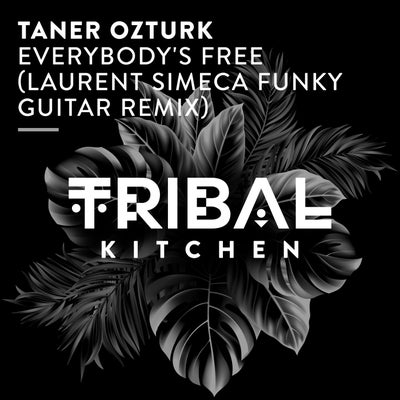 Taner Ozturk - Everybody's Free (Laurent Simeca Funky Guitar Extended Remix) [2024]