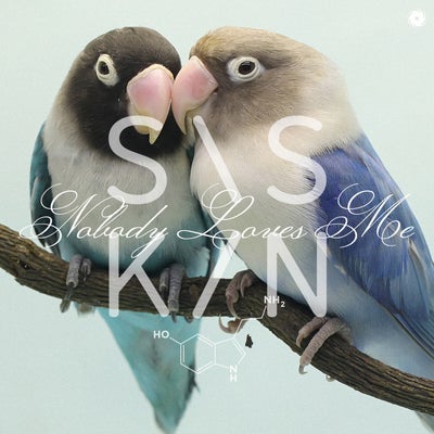 Siskin - Nobody Loves Me (Extended Mix).mp3
