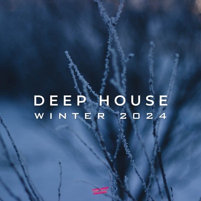 VA - Deep House Winter 2024 RSR806